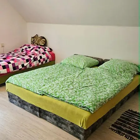 Balatoni Hunor Vendeghaz Balatonvilágos