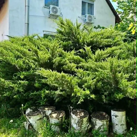 Balatoni Hunor Vendeghaz * Balatonvilágos